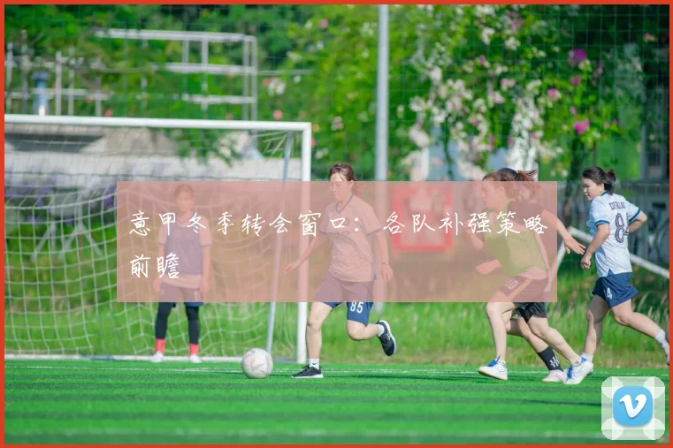 意甲冬季转会窗口：各队补强策略前瞻