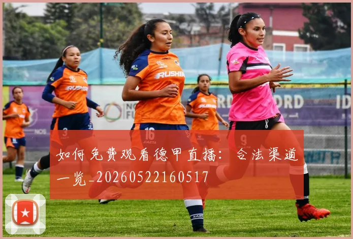 如何免费观看德甲直播：合法渠道一览_20260522160517